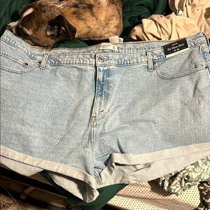 ABERCROMBIE CURVE LOVE SIZE 37 DENIM SHORTS